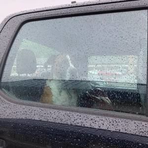 Meet your Posher, Lonnie